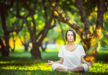 华体会体育_哈登半场全能演出轰16分 罚球全中率队奠定胜基